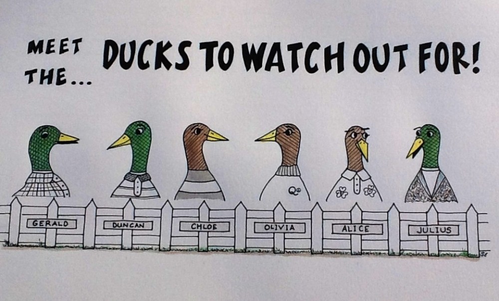 Ducks To Watch Out For ..